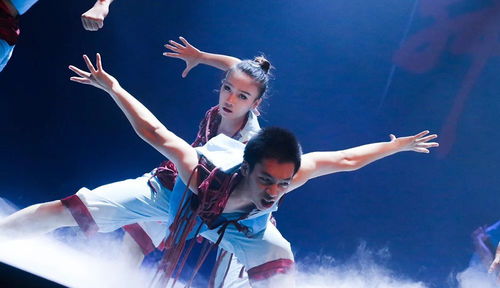 精品紛呈 視覺(jué)盛宴 章云燕名家工作室舞蹈作品展演燃情舞動(dòng)