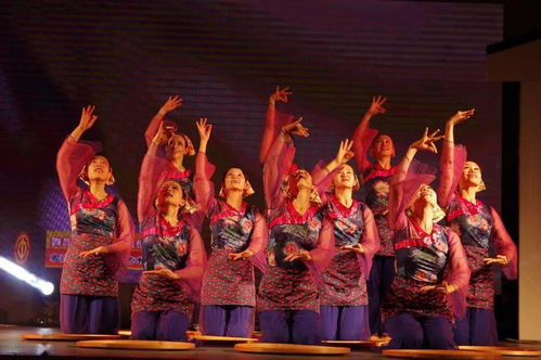 草根藝術團綻芳華 順德社區巡演三載情，央視舞臺展風采